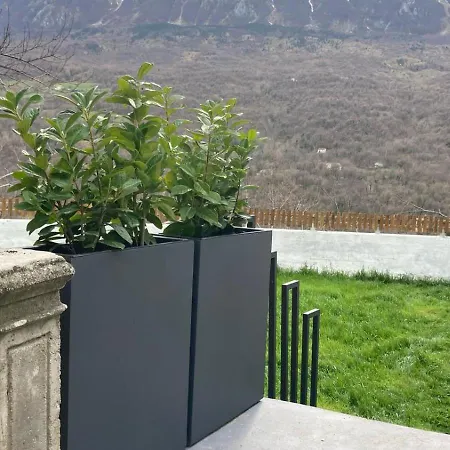 Palestro 8_art House *